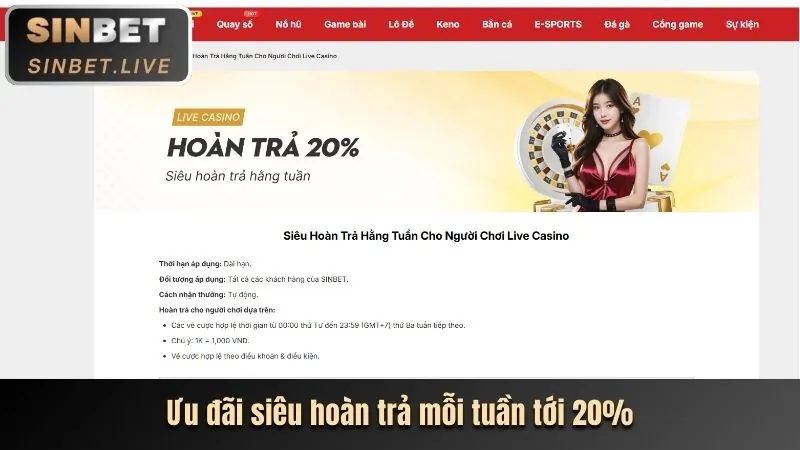 Minh họa gửi yêu cầu liên hệ